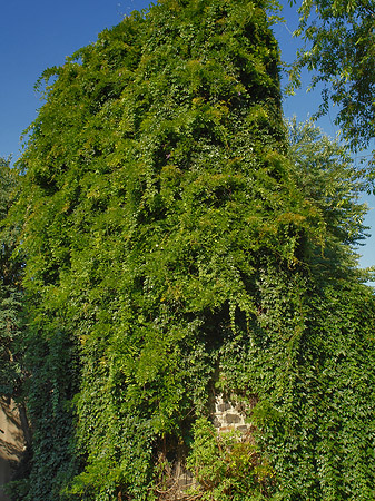 Helenenturm Foto 