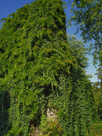 Foto Helenenturm