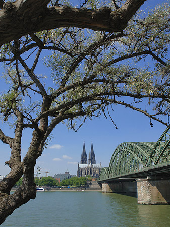 Fotos Hohenzollernbrücke am Kölner Dom | Köln