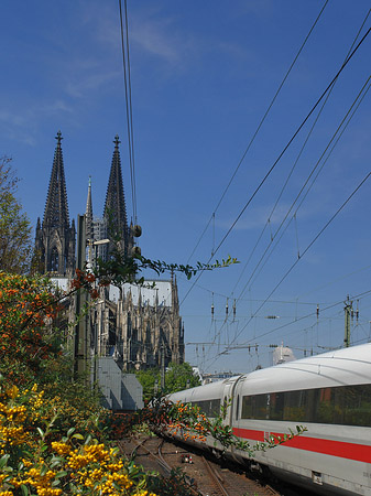 Foto Kölner Dom mit ICE - Köln