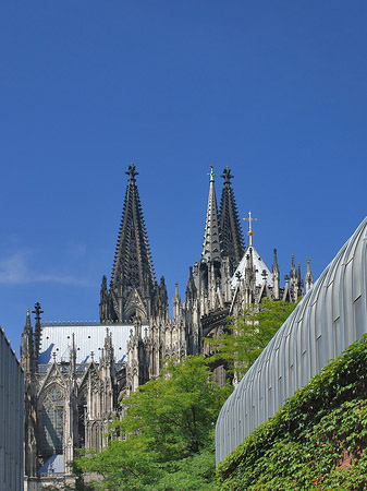 Hauptbahnhof vor dem Kölner Dom Fotos