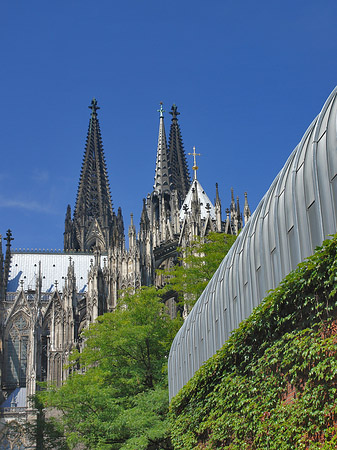 Foto Hauptbahnhof vor dem Kölner Dom