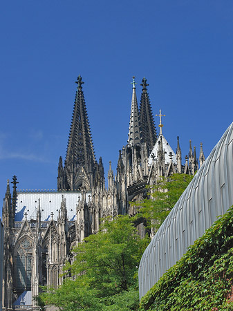 Foto Hauptbahnhof vor dem Kölner Dom