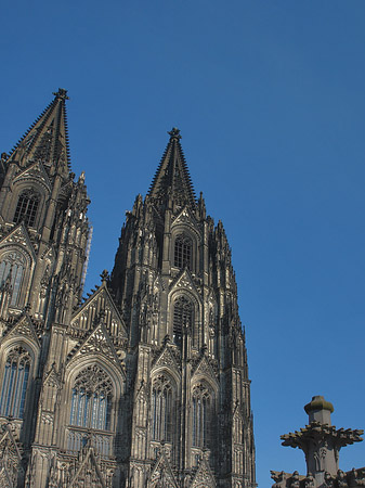 Kreuzblume vor Kölner Dom