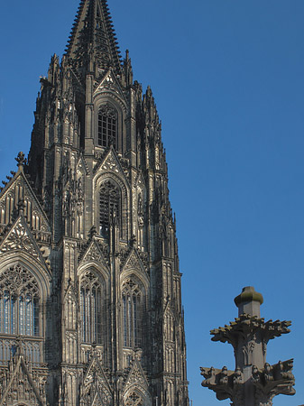 Foto Kreuzblume vor Kölner Dom - Köln