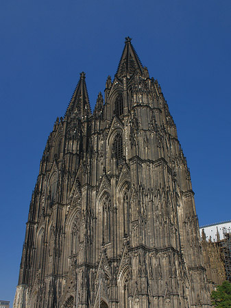 Fotos Touristen tummeln sich vor Kölner Dom | Köln