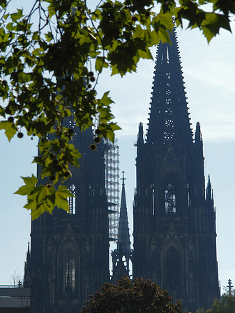 Foto Kölner Dom