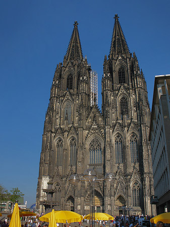 gelbe Sonnenschirme vor Kölner Dom