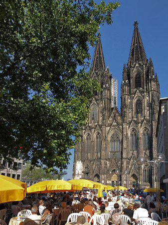 gelbe Sonnenschirme vor Kölner Dom Foto 