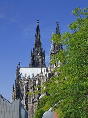 Fotos Türme des Kölner Doms