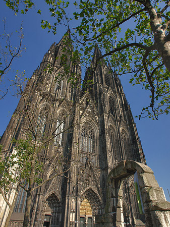 Foto Westfassade des Kölner Doms