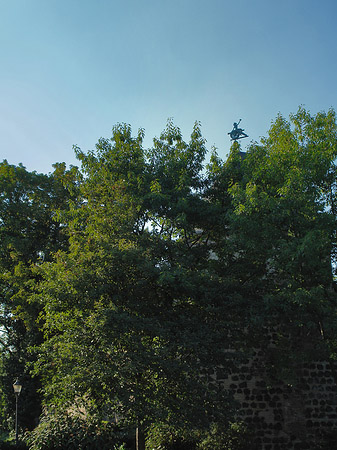 Sachsenturm hinter Busch Foto 