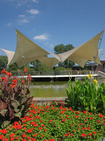 Fotos Tanzbrunnen im Rheinpark | Köln