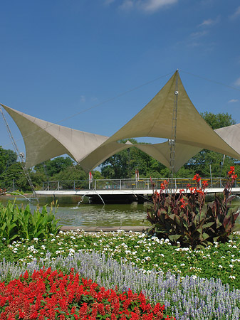 Foto Tanzbrunnen im Rheinpark