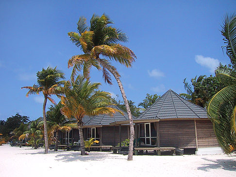 Foto Der weiße Sandstrand der Malediven - 