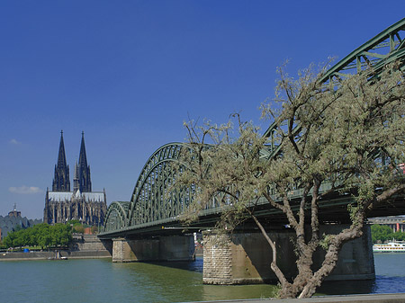 Fotos Hohenzollernbrücke am Kölner Dom | Köln