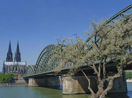 Hohenzollernbrücke am Kölner Dom Fotos