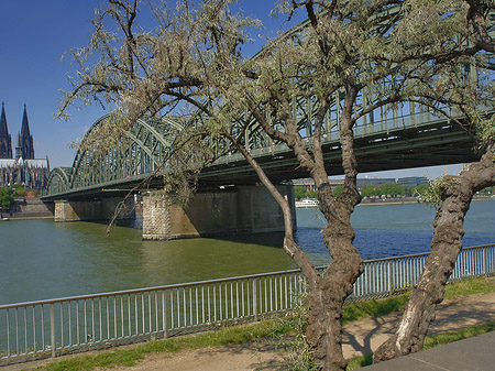 Foto Hohenzollernbrücke am Kölner Dom - Köln