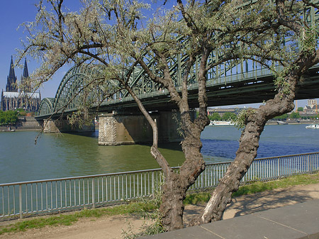 Hohenzollernbrücke am Kölner Dom Fotos