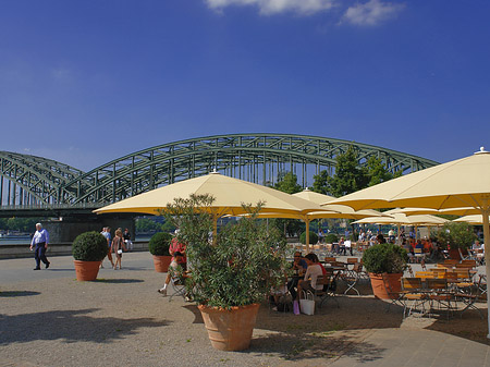 Sonnenschirme vor der Hohenzollernbrücke