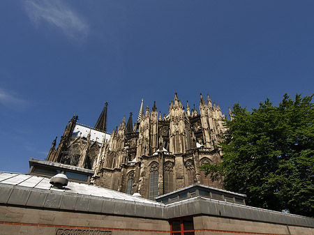 Kölner Dom mit Dombauhütte Fotos