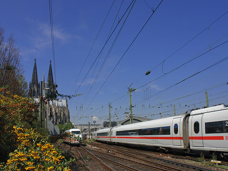 Foto Kölner Dom mit ICE - Köln