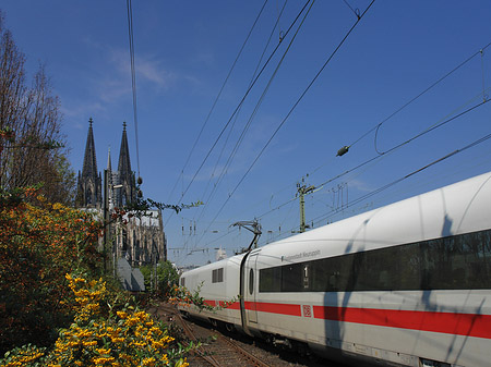 Foto Kölner Dom mit ICE - Köln