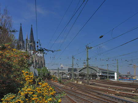 Hauptbahnhof neben dem Kölner Dom