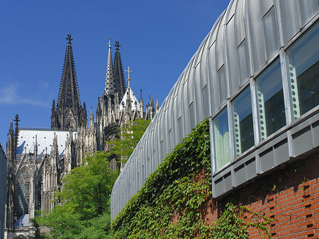 Foto Hauptbahnhof vor dem Kölner Dom