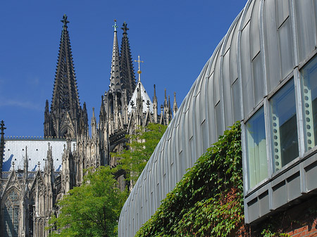 Hauptbahnhof vor dem Kölner Dom