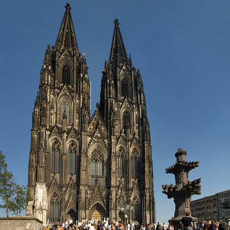 Fotos Kreuzblume vor Kölner Dom