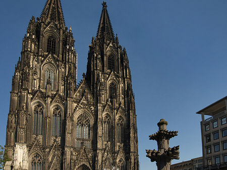 Kreuzblume vor Kölner Dom Foto 