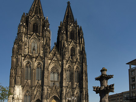 Foto Kreuzblume vor Kölner Dom - Köln