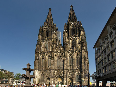 Kreuzblume vor Kölner Dom