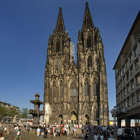 Foto Kreuzblume vor Kölner Dom