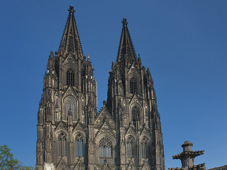 Kreuzblume vor Kölner Dom