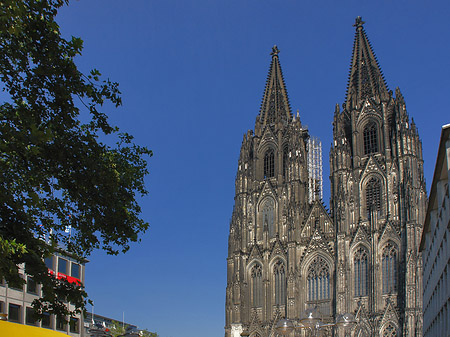 Fotos gelbe Sonnenschirme vor Kölner Dom | Köln