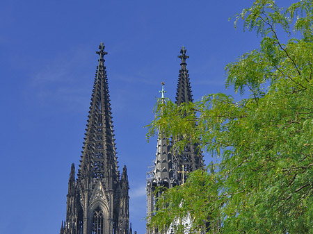 Fotos Türme des Kölner Doms | Köln