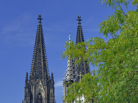 Foto Türme des Kölner Doms - Köln