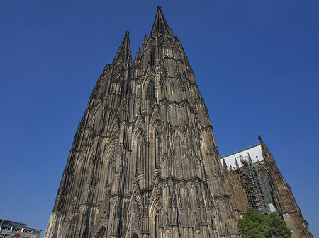 Foto Westfassade des Kölner Doms - Köln