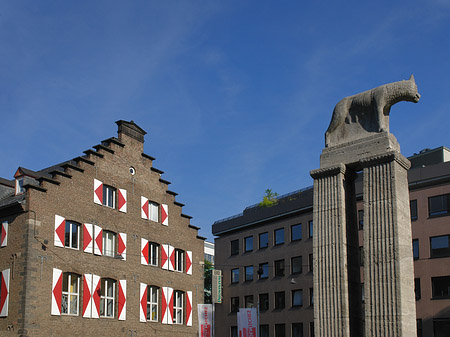 Fotos Wolfsstatue und Stadtmuseum