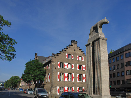 Fotos Wolfsstatue und Stadtmuseum | Köln