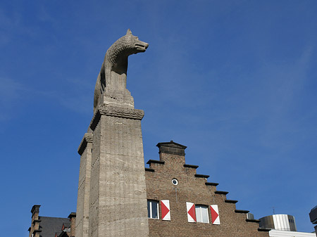 Wolfsstatue und Stadtmuseum Fotos