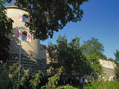 Sachsenturm hinter Busch