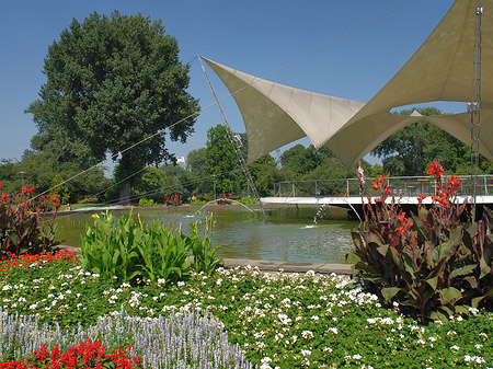 Foto Tanzbrunnen im Rheinpark