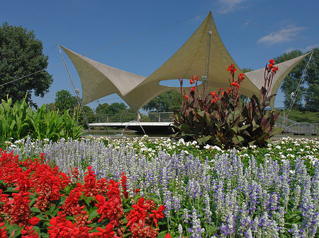 Tanzbrunnen im Rheinpark Foto 