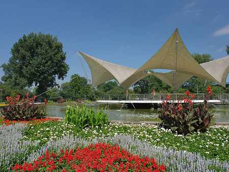 Foto Tanzbrunnen im Rheinpark - Köln