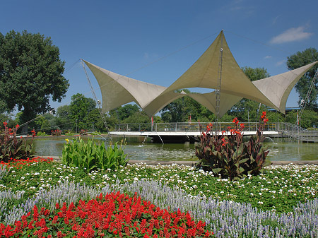 Fotos Tanzbrunnen im Rheinpark | Köln